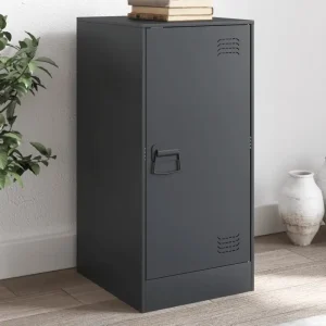 Dressoir met stabiel frame van koudgewalst staal netjes en trendy